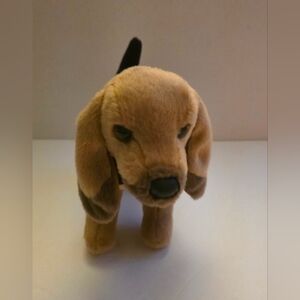 Wedgewood Vet Pharmacy Trapper Bloodhound Plush Toy Pharmaceutical Memorabilia